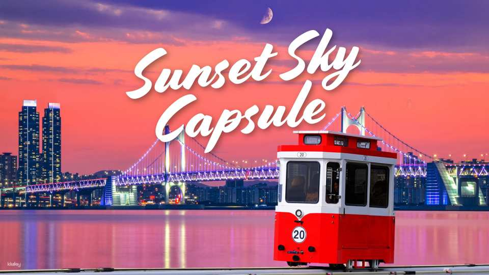 Busan Sunset Haeundae Sky Capsule & Busan Night view Tour | South Korea - Photo 1 of 10