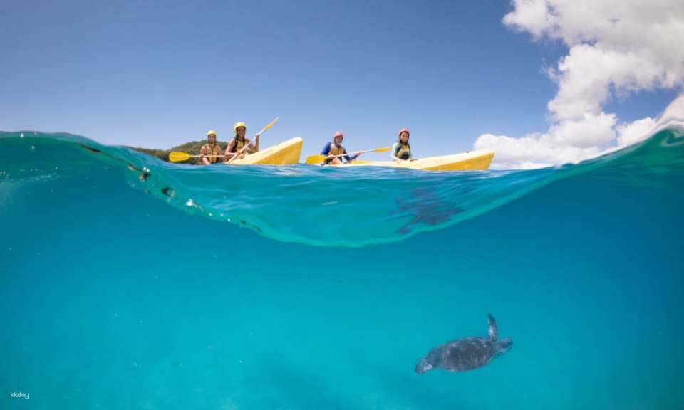 Byron Bay Dolphin Kayaking Tour | New South Wales - Photo 1 of 6