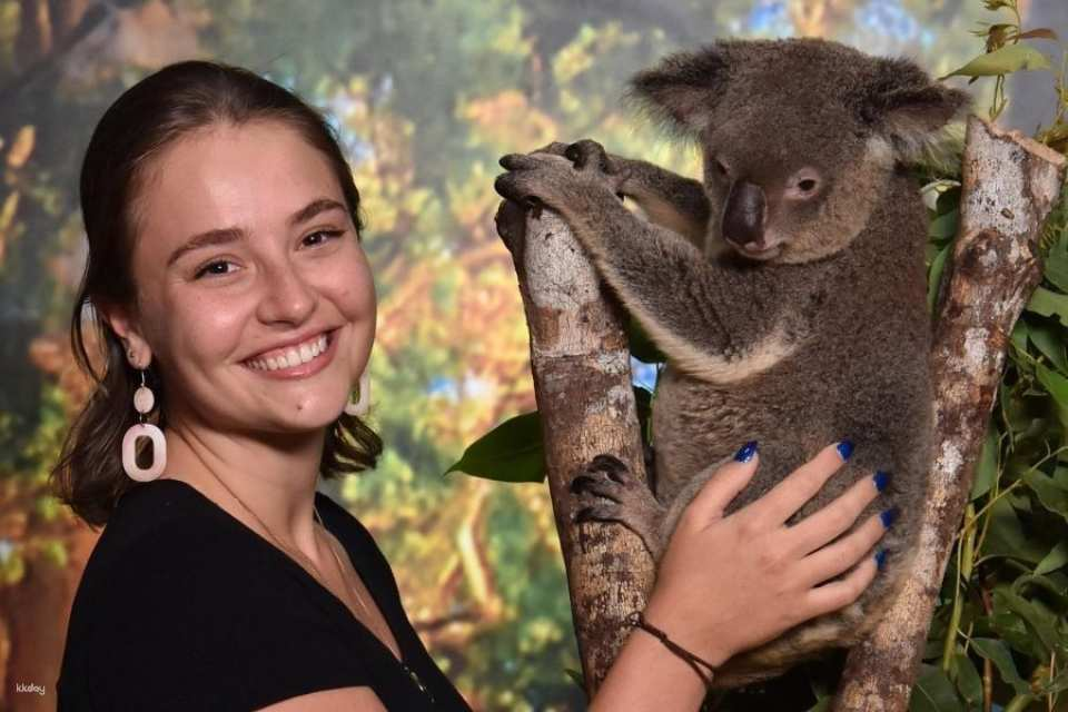 Cairns Koalas and Creatures Admission Ticket and Koala Photo Experience | Australia - Photo 1 of 6