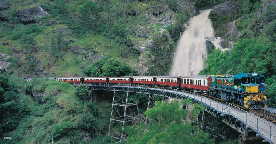 Cairns Kuranda Sightseeing & Wildlife Exploration Day Tour (with Japanese-speaking guide, BBQ dinner, and hotel transfers) by Dokidoki Tours - Photo 1 of 9