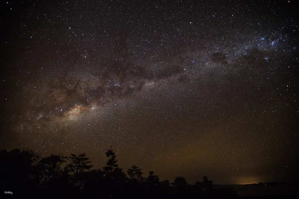 Cairns Stargazing & Nocturnal Animal Watching Night Tour (Japanese-speaking guide & hotel transfer included) by Dokidoki Tours - Photo 1 of 4