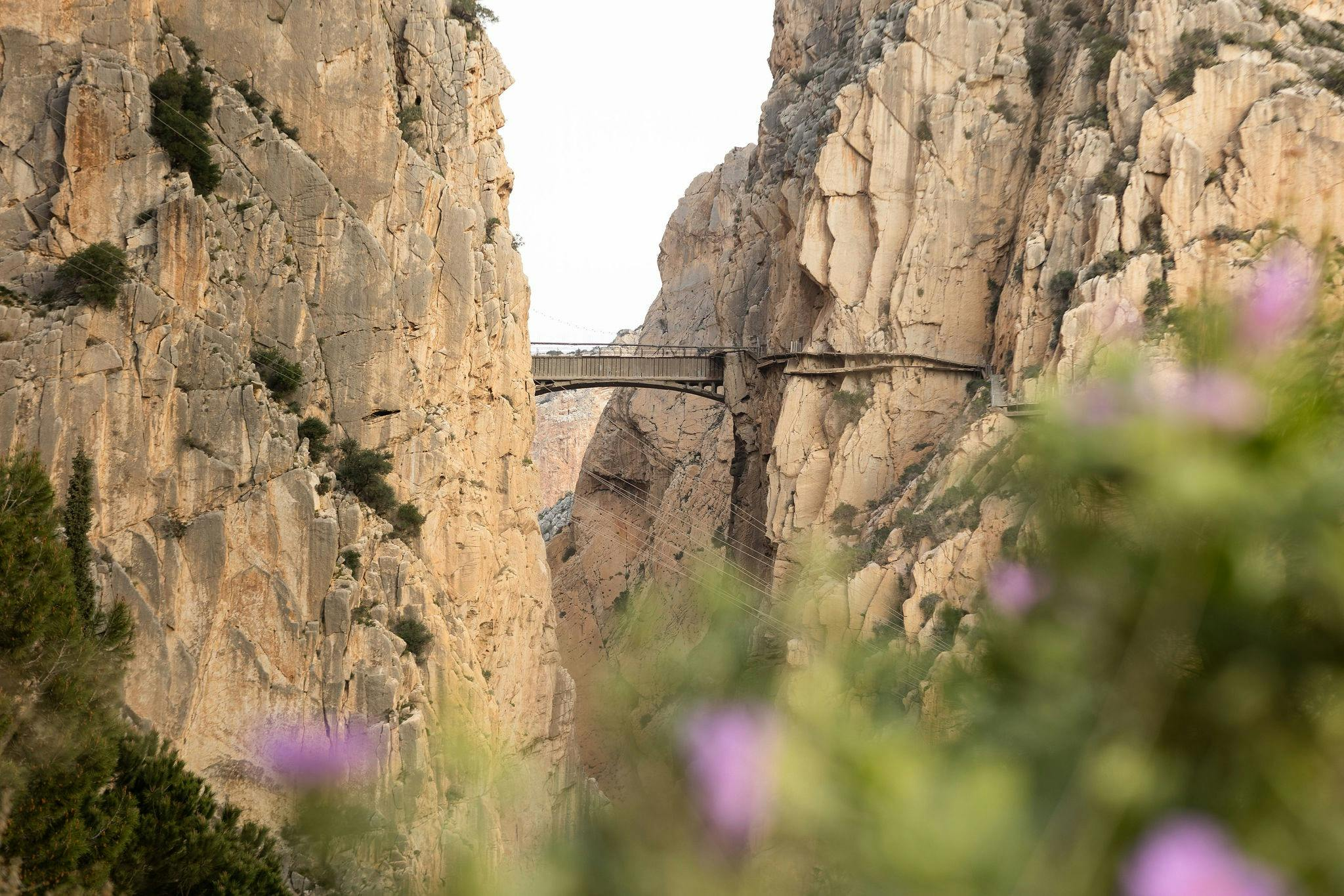 Caminito del Rey: Guided Tour in French + One-Way Shuttle Transfer - Photo 1 of 6