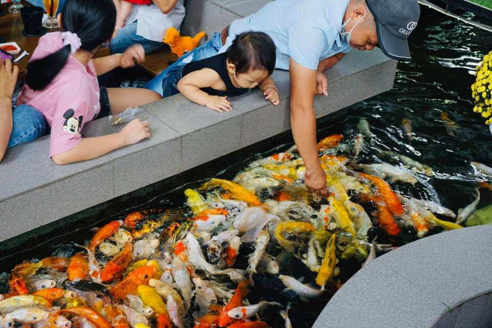 Can Tho | Guided Food Tour with Koi Café Experience With Local Guide - Photo 1 of 6
