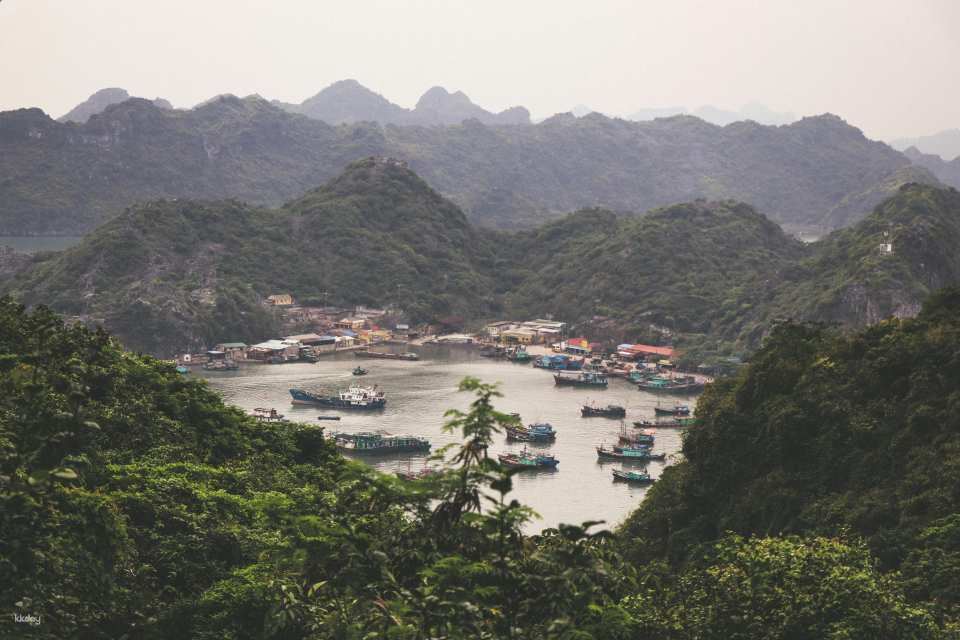 Cat Ba Island to Ninh Binh (Vice Versa) | Private Car Charter - Photo 1 of 7