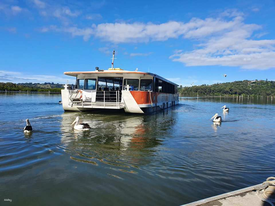Catch a Crab Tour at Tweed River | Gold Coast - Photo 1 of 10