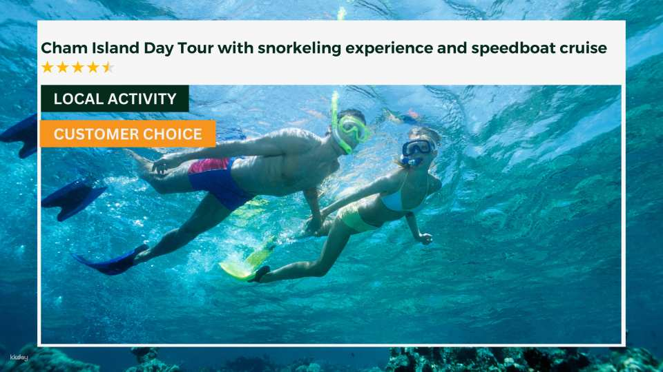 Cham Island Day Tour with Snorkeling Experience and Speedboat Cruise - Photo 1 of 7