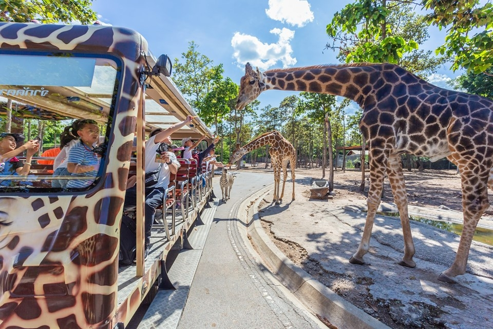 Chiang Mai Night Safari - Photo 1 of 16