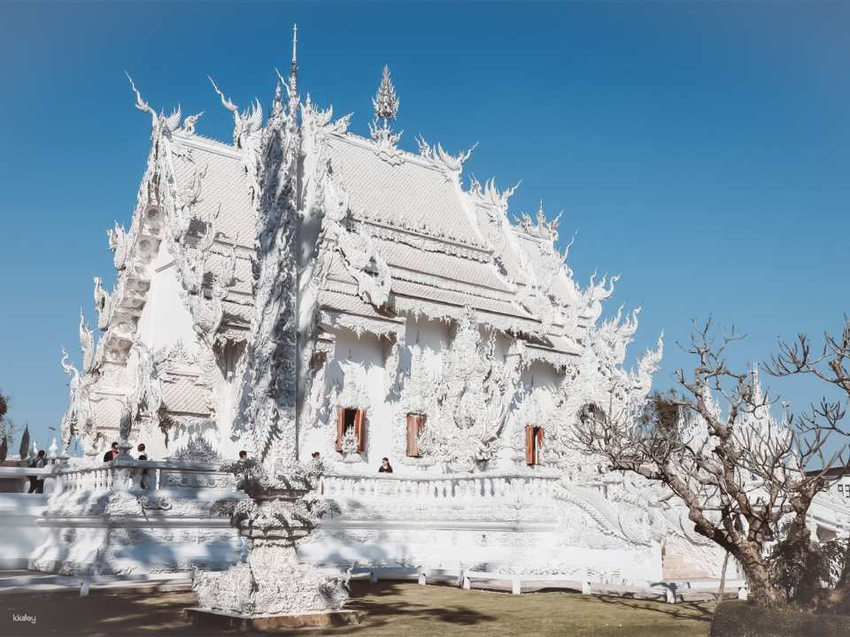 Chiang Rai Highlights Day Tour: White Temple, Blue Temple, Black House & Hot Spring - Photo 1 of 5
