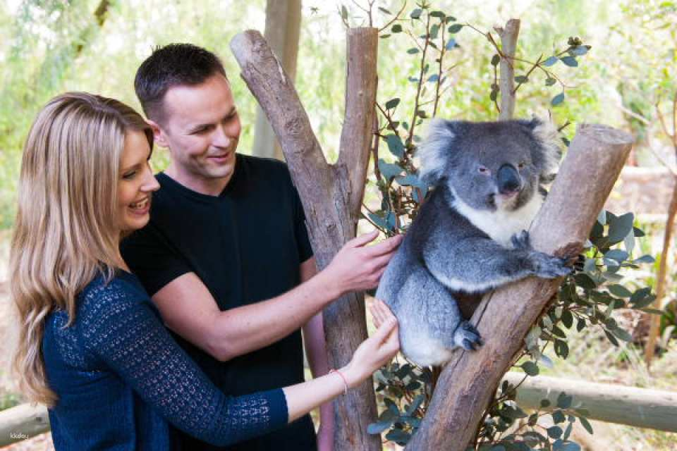 Cleland Wildlife Park Experience: Day Tour from Adelaide | South Australia - Photo 1 of 6