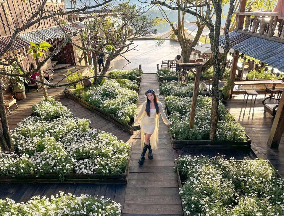 Dalat Instagram Café Tour - Photo 1 of 9