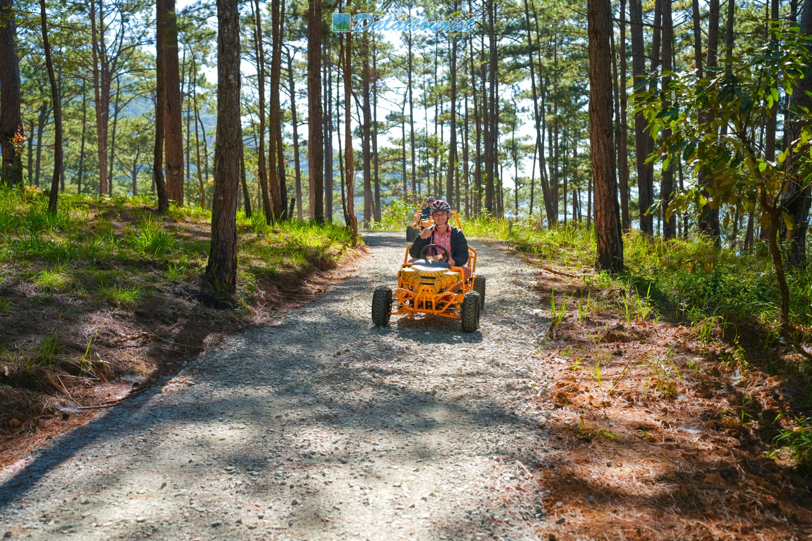 Datanla Electric Vehicle Service - Datanla Pine Karts - Photo 1 of 5