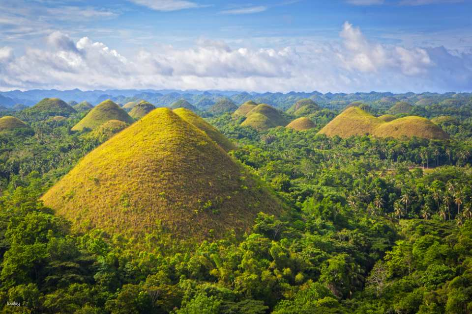 Day trip from Cebu to Bohol Island: 5 major attractions (Chocolate Hills, Tarsiers, Man-Made Forest, Loboc River cruise & lunch buffet, Baclayon Church) (ATV activity/Japanese-speaking guide/insurance included) - Photo 1 of 10