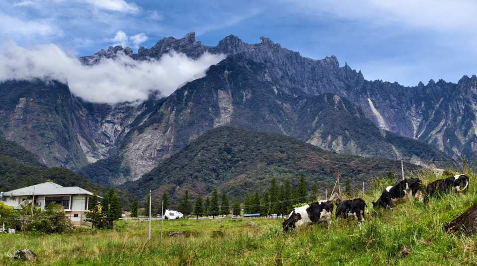 Desa Farm & Sabah's National Park Join-In or Private Day Tour | Malaysia - Photo 1 of 5
