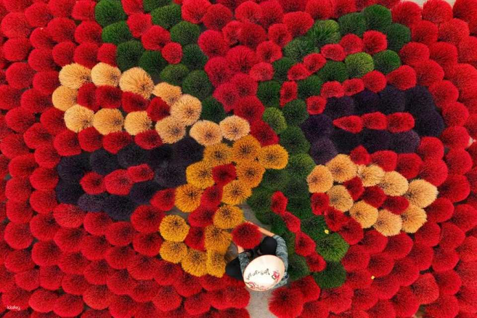 Discover Ha Noi city and Insence village: Train street - Hoa Lo prison - Temple of literature - Ho Chi Minh mausoleum - Tran Quoc pagoda - Photo 1 of 7