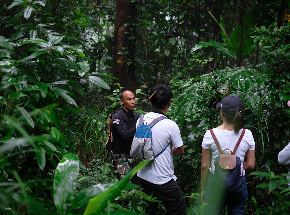 Doi Suthep Trekking Tour | Chiang Mai - Photo 1 of 10