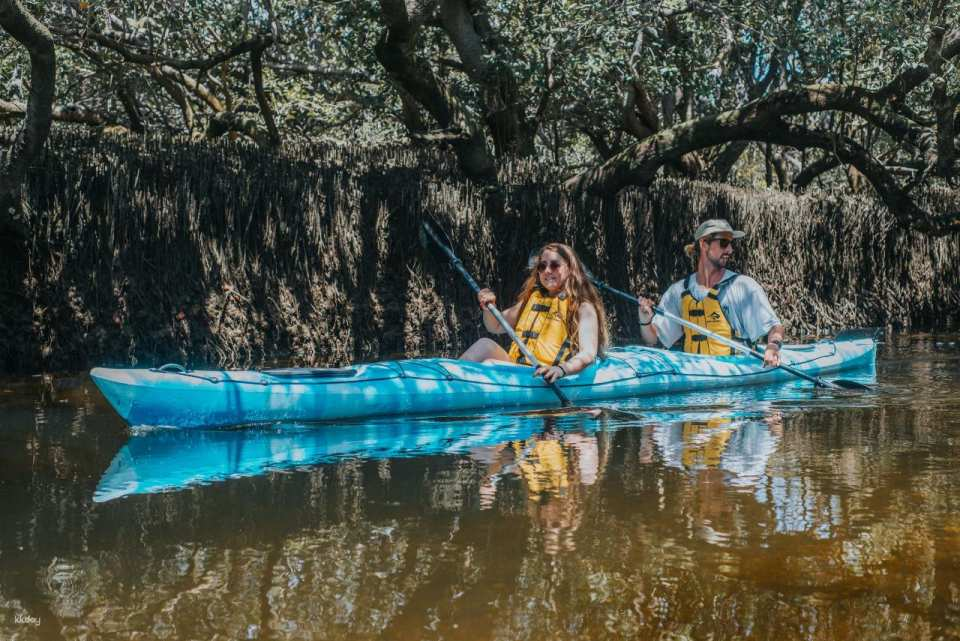 Dolphin Sanctuary Guided Eco Kayak Tour from Adelaide | South Australia - Photo 1 of 5