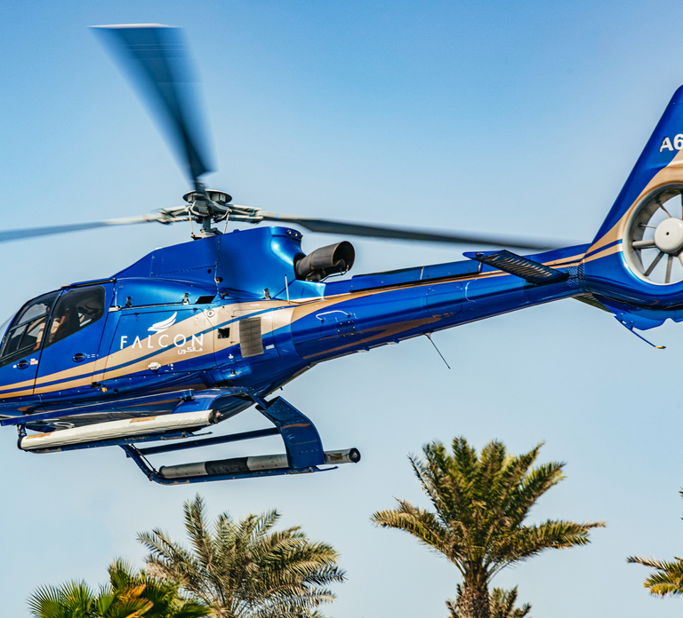 Dubai: Sightseeing Helicopter Ride from The Palm - Photo 1 of 6