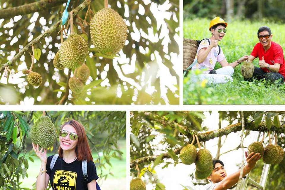 DurianBB Academy Farm Tour – Selangor | Malaysia - Photo 1 of 6