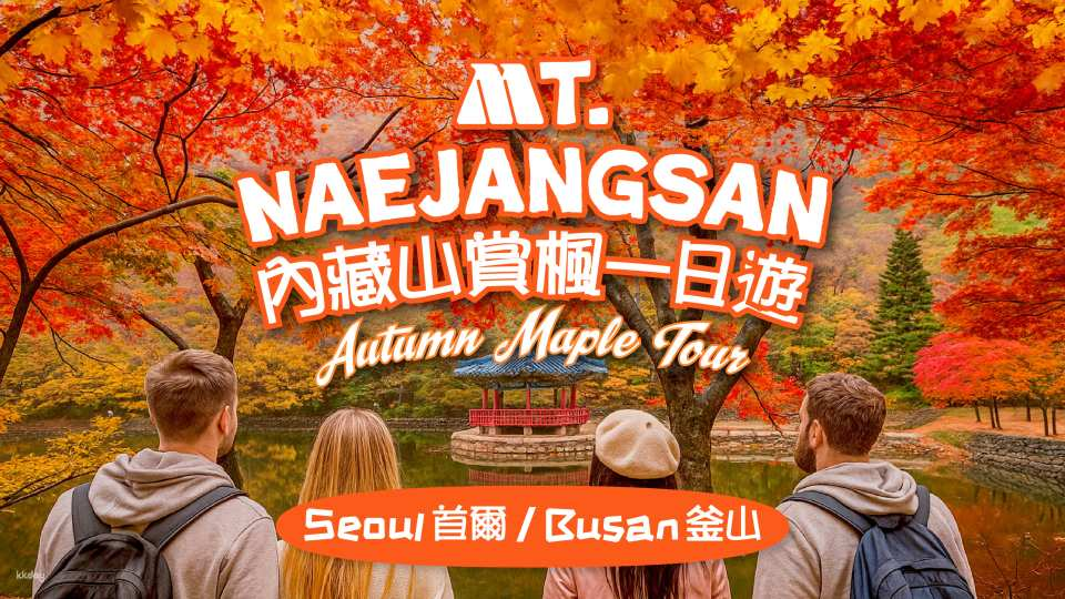 Naejangsan National Park Autumn Foliage One Day Tour (Departure from Seoul, Busan) | South Korea - Photo 1 of 10
