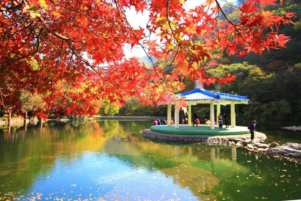 Jeolla Province, South Korea | Naejangsan Mountain + Jeonju Hanok Village Autumn Foliage Viewing Day Trip | Departing from Seoul - Photo 1 of 10