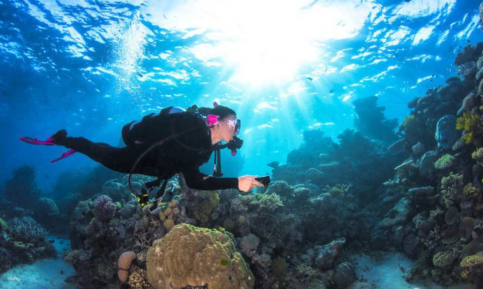 [Eco Tour] Advanced Open Water Course & Liveaboard Combo | Cairns - Photo 1 of 6