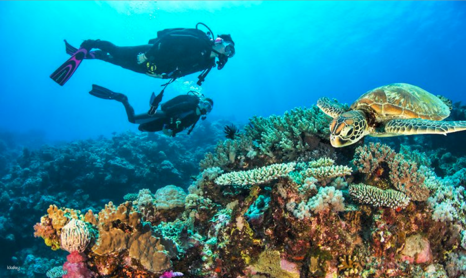 [Eco Tour] Advanced PADI Open Water & Enriched Air Course | Cairns - Photo 1 of 8