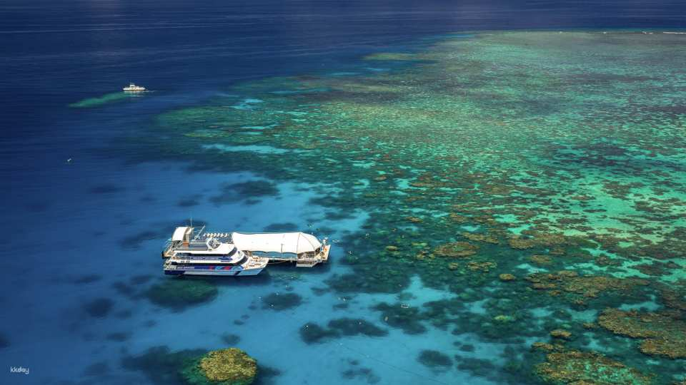 [Eco Tour] Great Adventures Cruises | Great Barrier Reef Adventure | Cairns - Photo 1 of 9