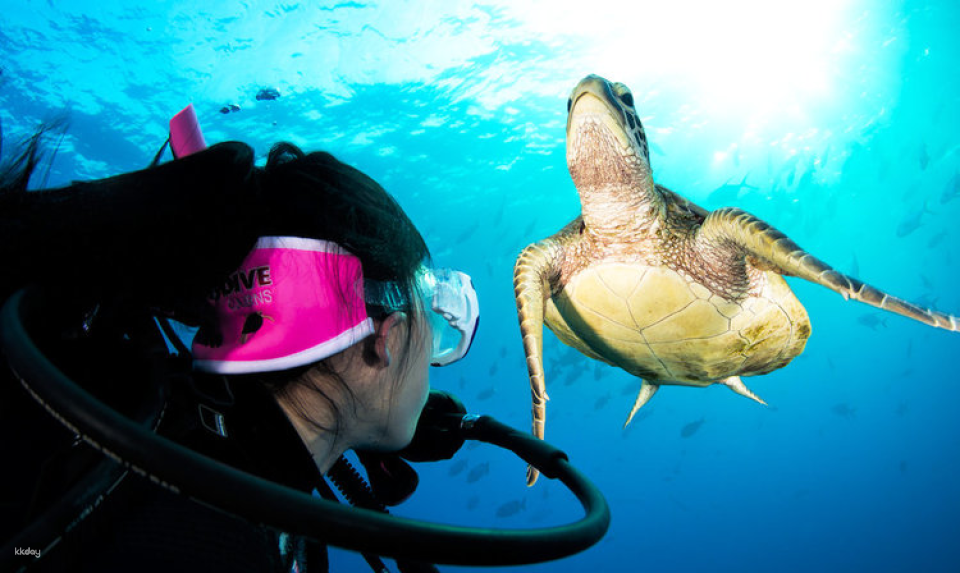 [Eco Tour] Nitrox Course & Liveaboard Combo | Cairns - Photo 1 of 6
