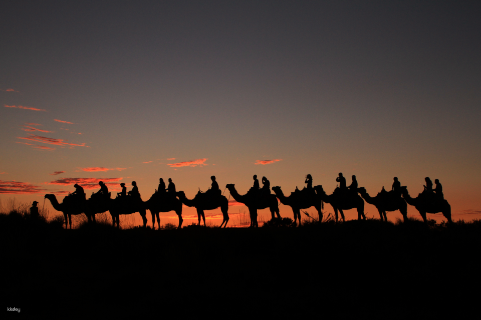 [Eco Tour] Uluru Camel Riding Tour | Northern Territory - Photo 1 of 6