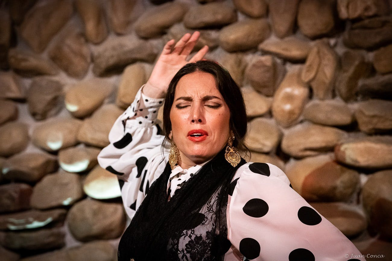 El Gallo Ronco Málaga: Flamenco Show - Photo 1 of 4