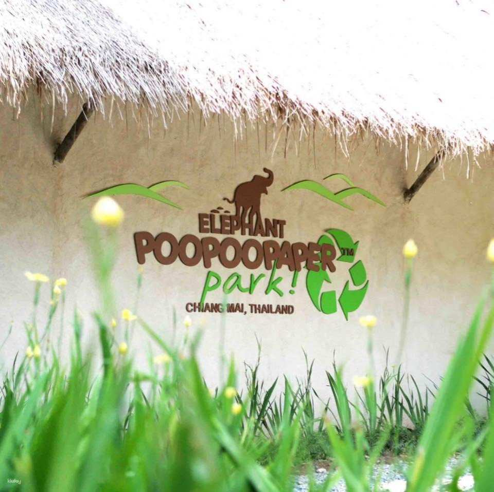Elephant Poopoopaper Park Entry Ticket | Chiang Mai - Photo 1 of 8