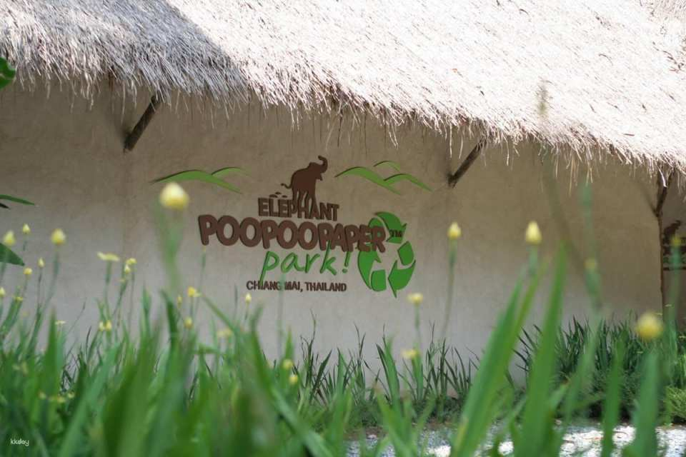 Elephant Poopoopaper Park: Paper Making Workshop | Chiang Mai - Photo 1 of 9