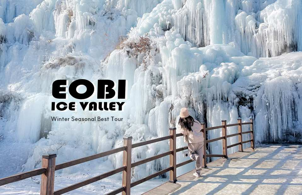 Eobi Ice Valley & Nami Island & Morning Calm & Railbike & Petite France (Departure from Seoul) - Photo 1 of 10