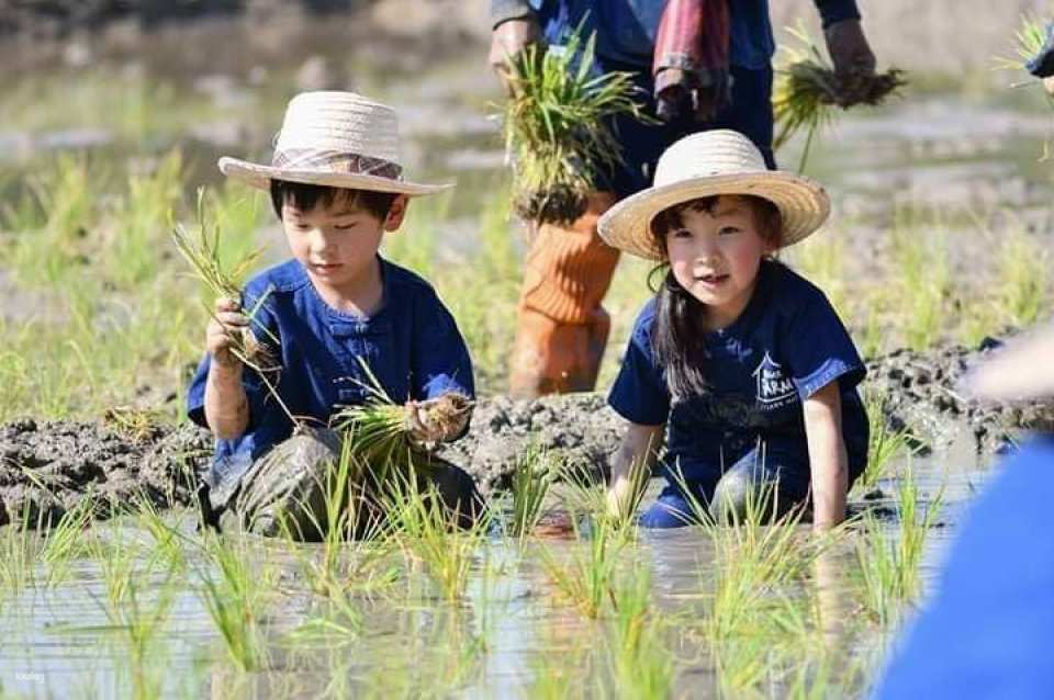 Farm Activities at Ginger Farm Chiang Mai | Thailand - Photo 1 of 7