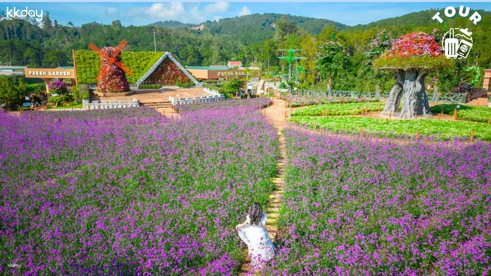 Fresh Garden Da Lat Tickets - Photo 1 of 9