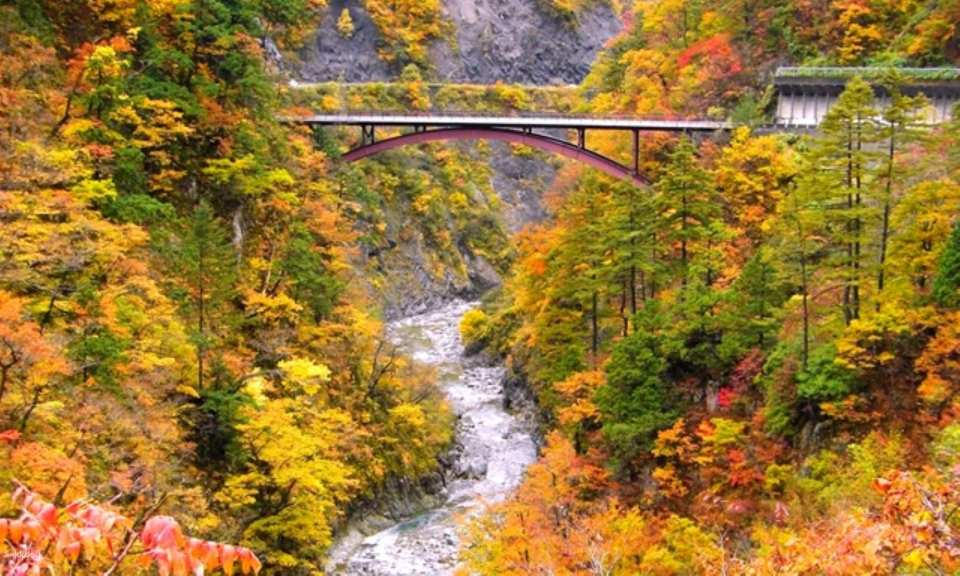 【From Kanazawa】 Drive through Hakusan National Park and Shirakawa-go Private Plan - Photo 1 of 12