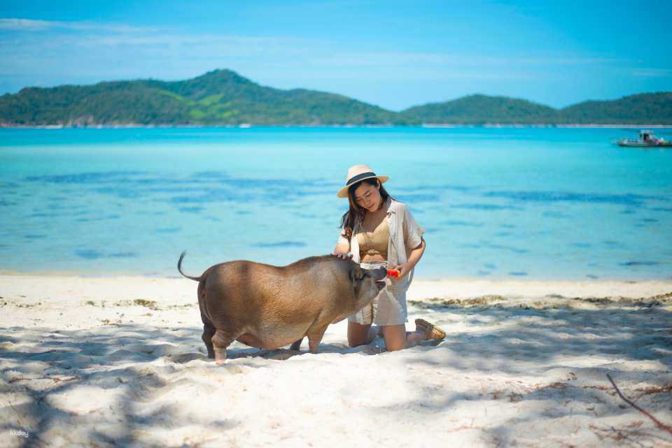 From Koh Samui: Private Longtail Tour to Koh Mat Sum (Pig Island) | Thailand - Photo 1 of 8