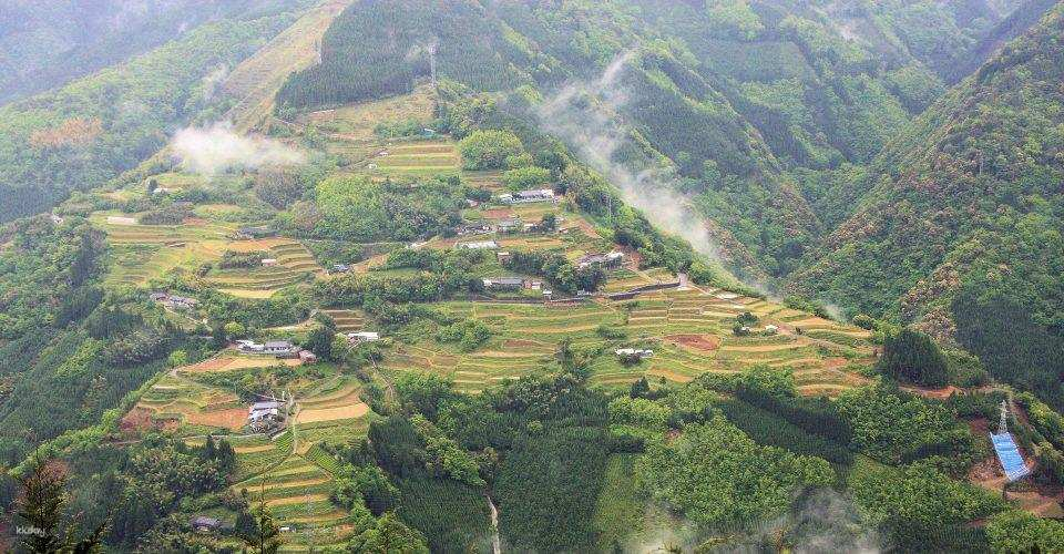 From Kumamoto: One of Japan's Three Hidden Gems Shiiba Village  1 Day Trip - Photo 1 of 12