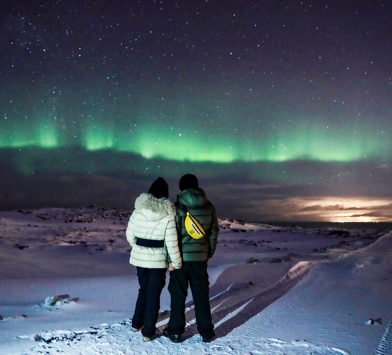 From Reykjavik: Northern Lights Bus Tour with Hot Cocoa - Photo 1 of 8