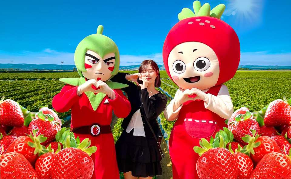 From Seoul: Nonsan Strawberry & Cherry Blossom Season Experience - Photo 1 of 10