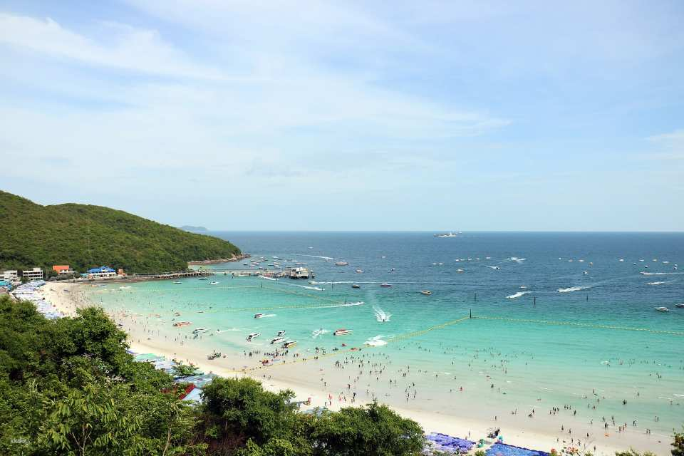 Full-Day Tour to Pattaya and Koh Lan from Bangkok by Panda Bus <Japanese Guide> - Photo 1 of 11