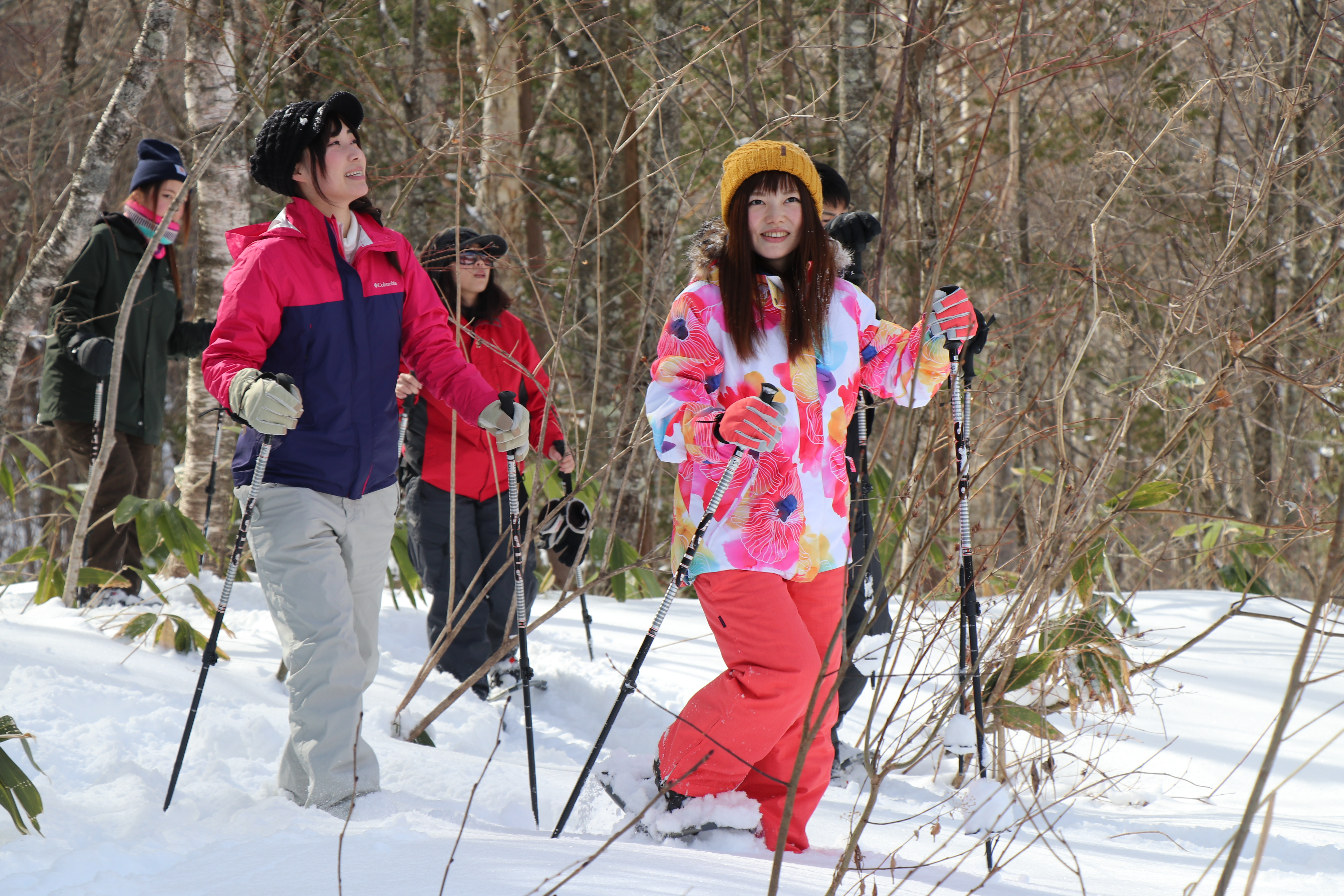 【Gifu Okuhida】Shinhotaka Ropeway Snowshoe Tour (with Ropeway Ticket) E-Ticket - Photo 1 of 10