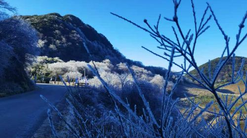 Gold Buddha Mountain (North Gate) Entry Ticket + Round-trip Ropeway - Photo 1 of 9