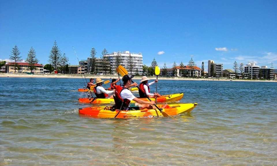Gold Coast Kayaking & Snorkelling Tour | Australia - Photo 1 of 3