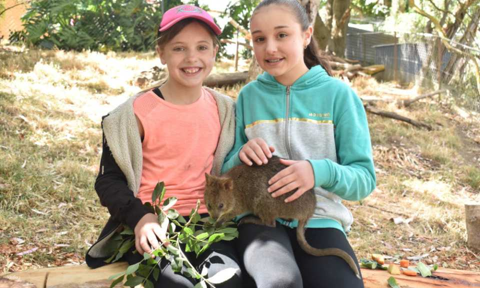 Gorge Wildlife Park General Admission Tickets | Adelaide - Photo 1 of 5