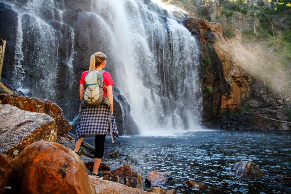Grampians Eco Wilderness Escape Day Tour from Melbourne | Victoria - Photo 1 of 10