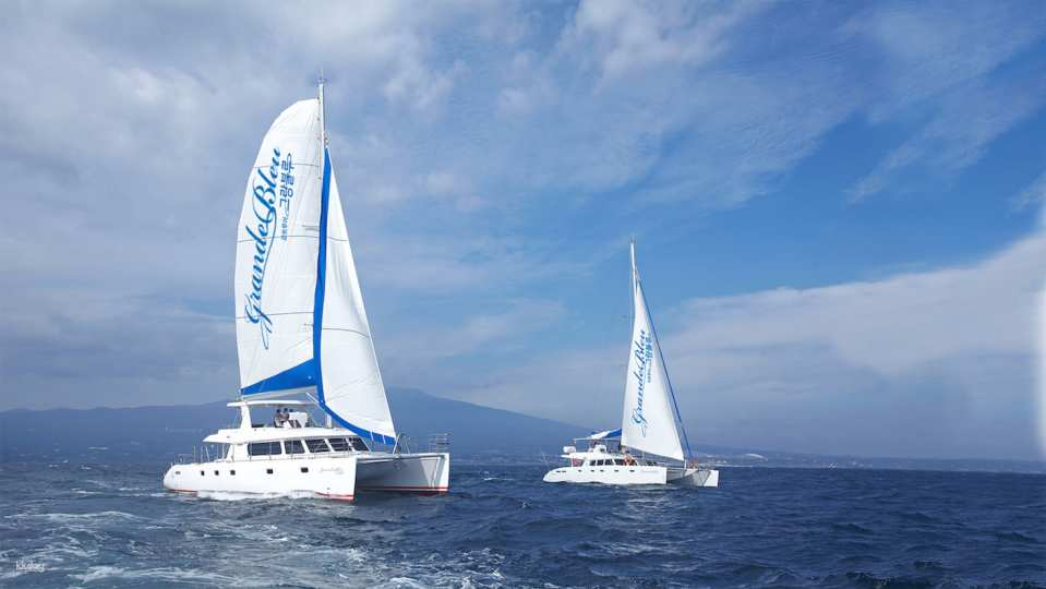 Jeju Seogwipo Grand Bleu Luxury Yacht Tour - Photo 1 of 7