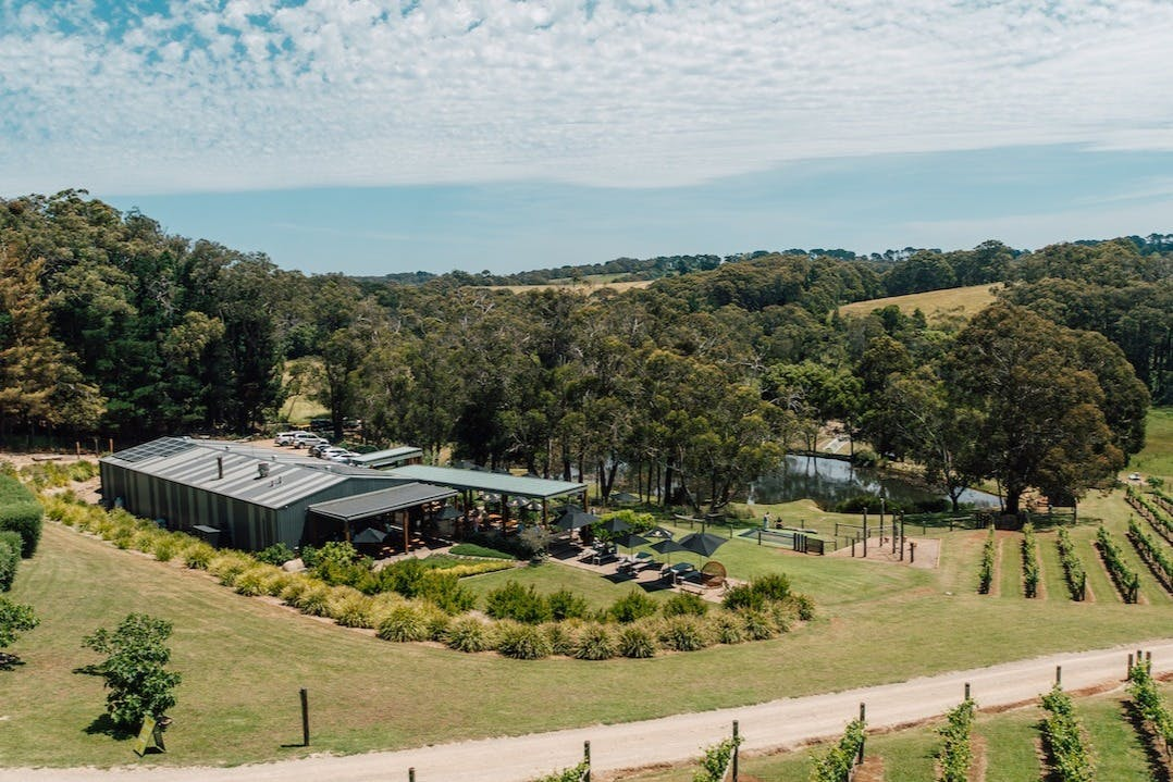 Green Olive at Red Hill: Farmers Lunch for 2 + Drinks - Photo 1 of 6