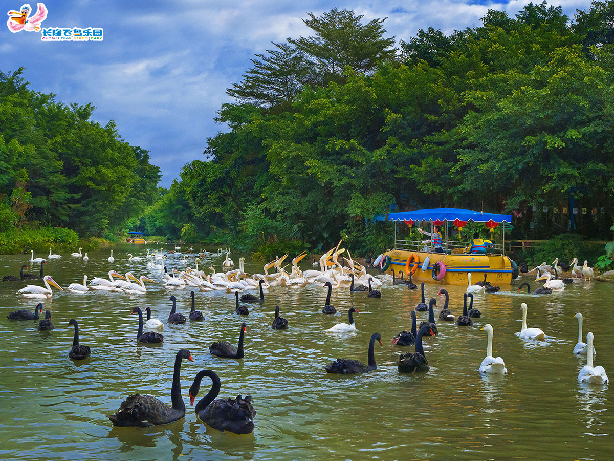 Guangzhou Chimelong Tourist Resort - Photo 1 of 4