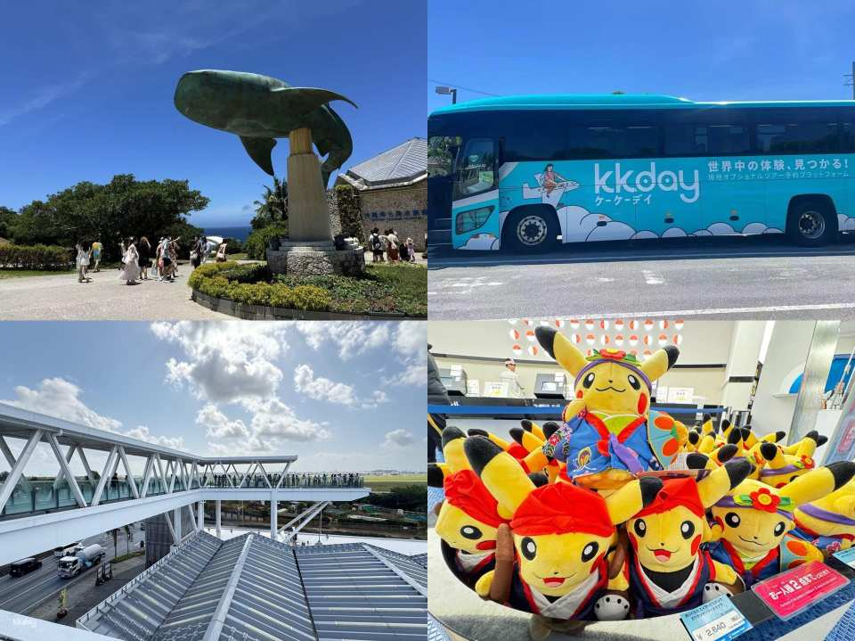 [Guaranteed Departure for 1 Person] Northern Okinawa Day Tour: Churaumi Aquarium, Kouri Island, Manzamo / Michi-no-Eki Kadena, and AEON MALL Okinawa Rycom Pokémon Center (Chinese-speaking Guide) - Photo 1 of 10